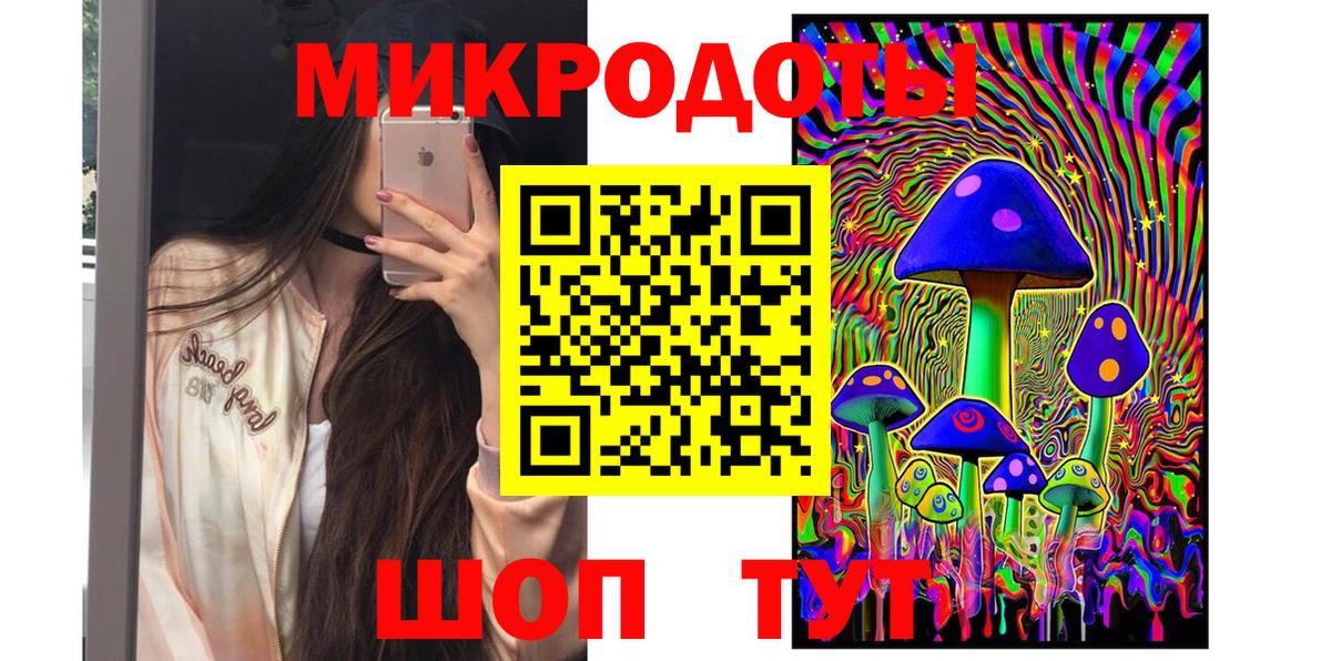 Галлюциногенные грибы Psilocybe Белая Калитва